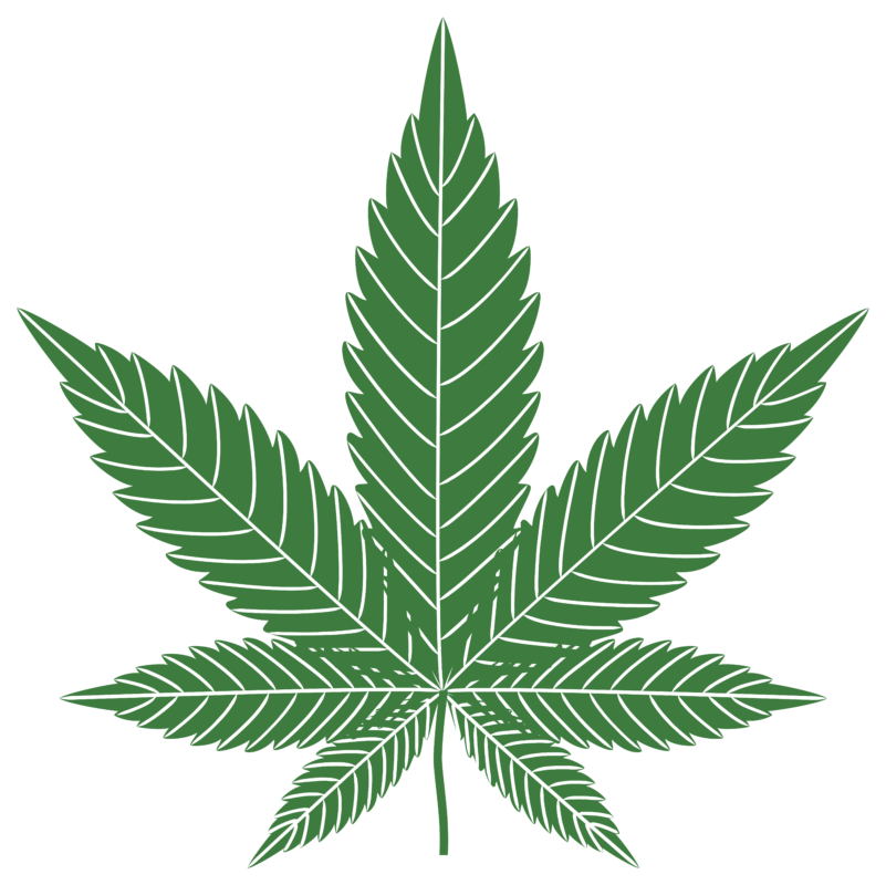 The cannabis leaf is often associated with spiritual and entheogenic use, as cannabis has been utilized in various cultures for religious and spiritual purposes for thousands of years. It is considered an entheogen, a substance that can facilitate spiritual experiences and connections